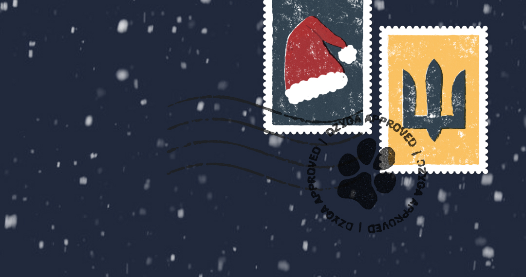 Secret Santa for Ukrainian Defenders